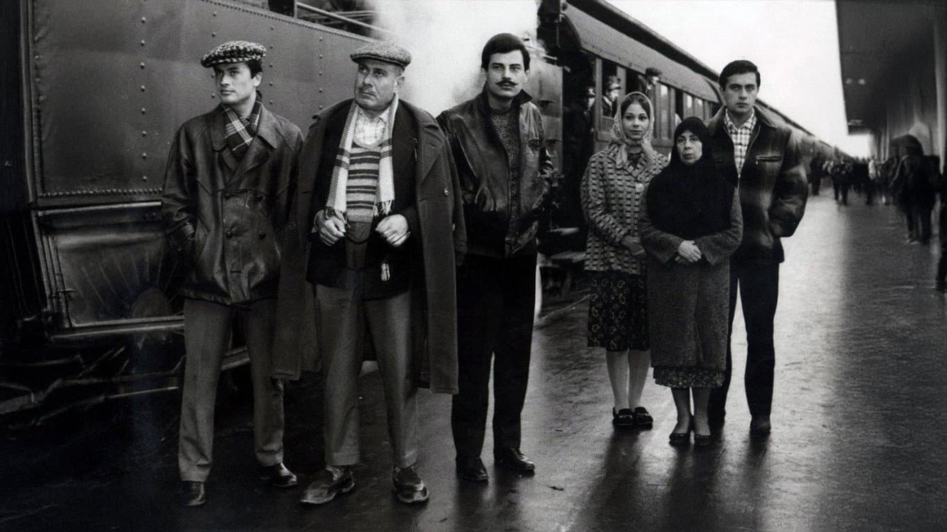 Birds of Exile backdrop