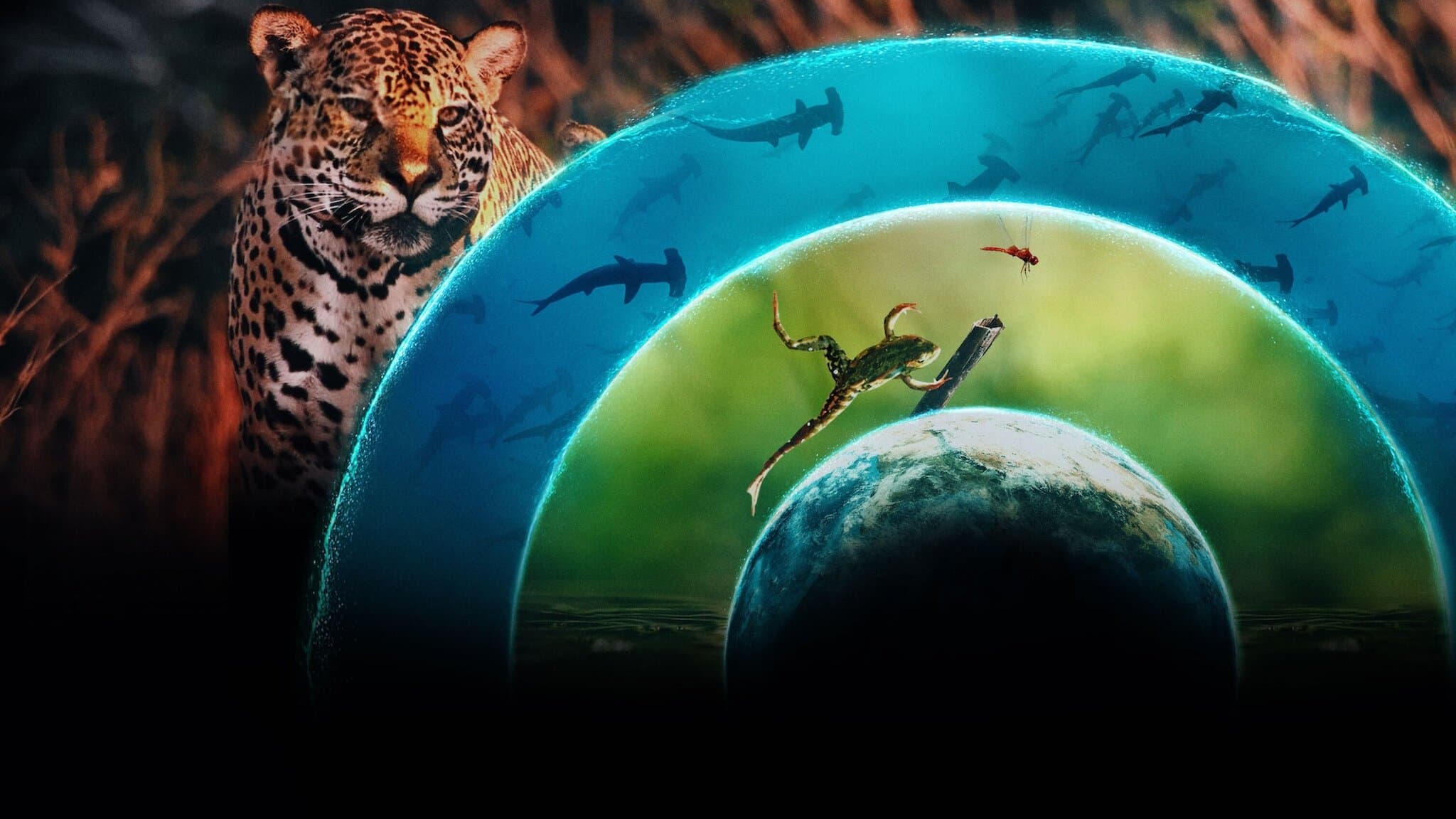 Our Living World backdrop
