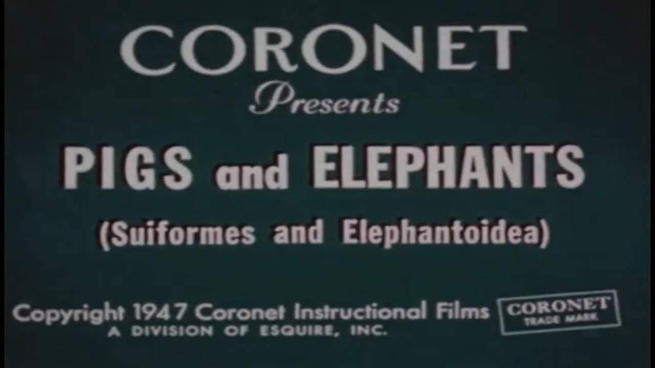 Pigs and Elephants (Suiformes and Elephantoidea) backdrop
