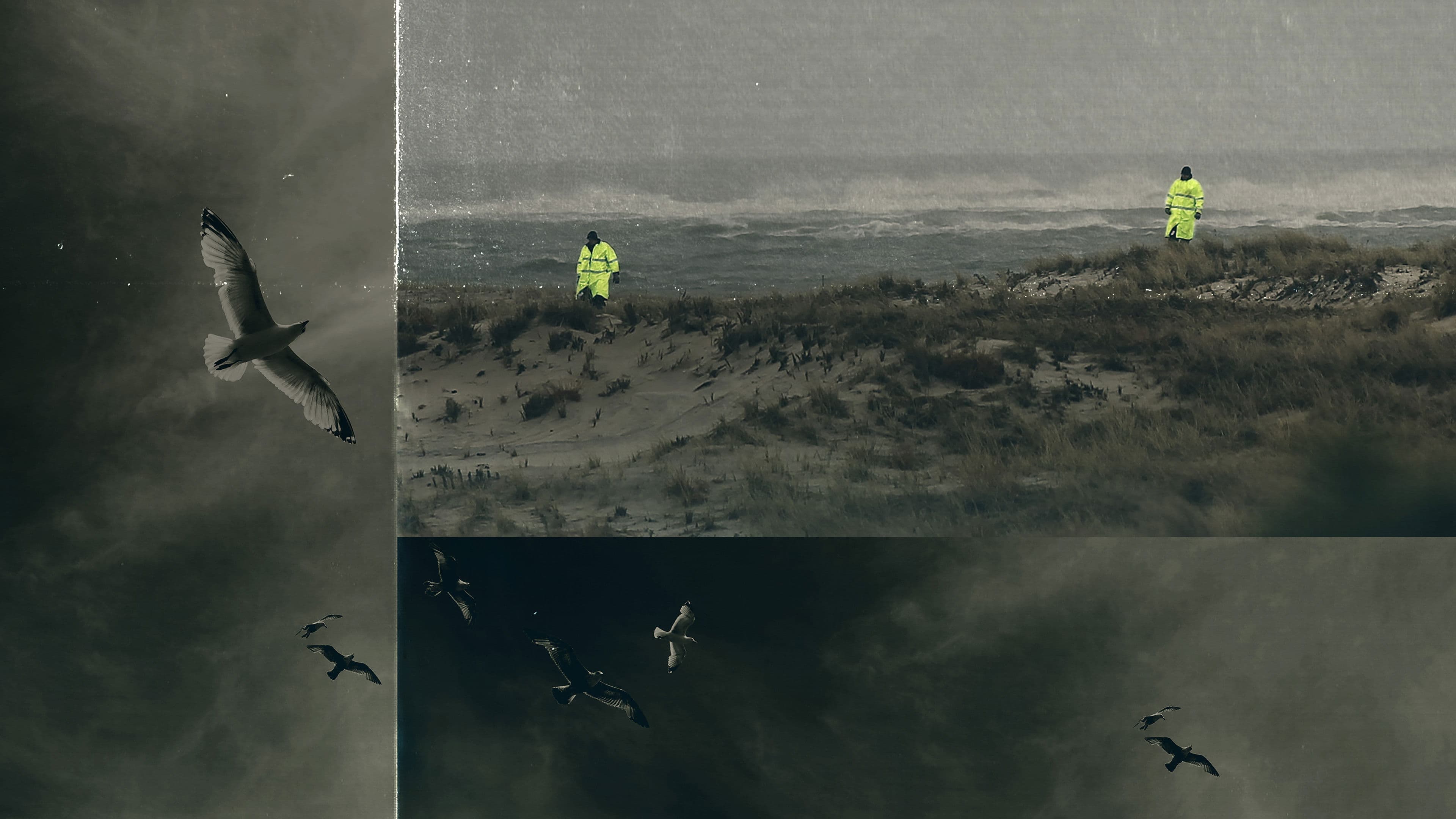 Unraveled: The Long Island Serial Killer backdrop