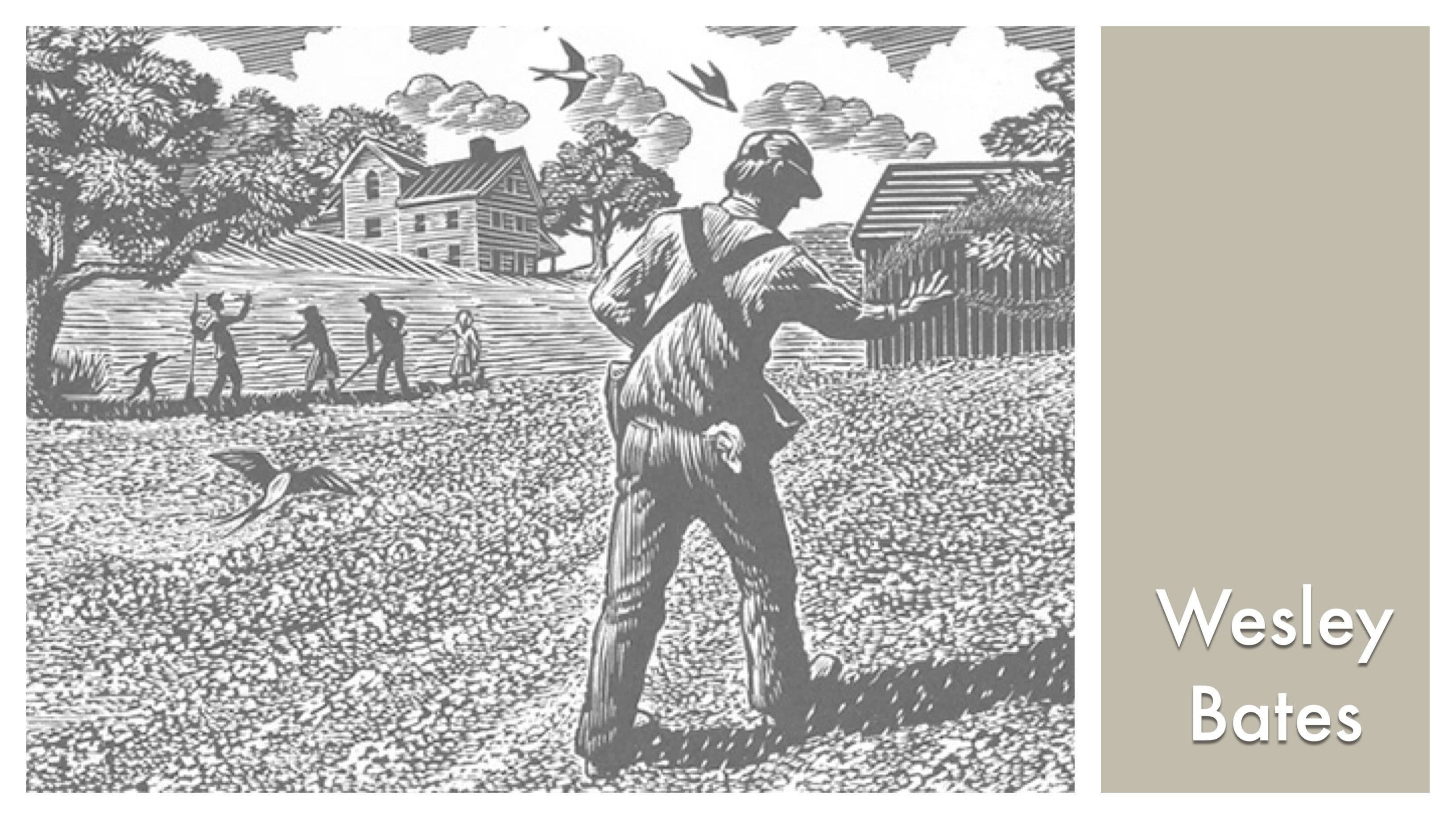 LOOK & SEE:  Wesley W. Bates - Wood Engraver backdrop