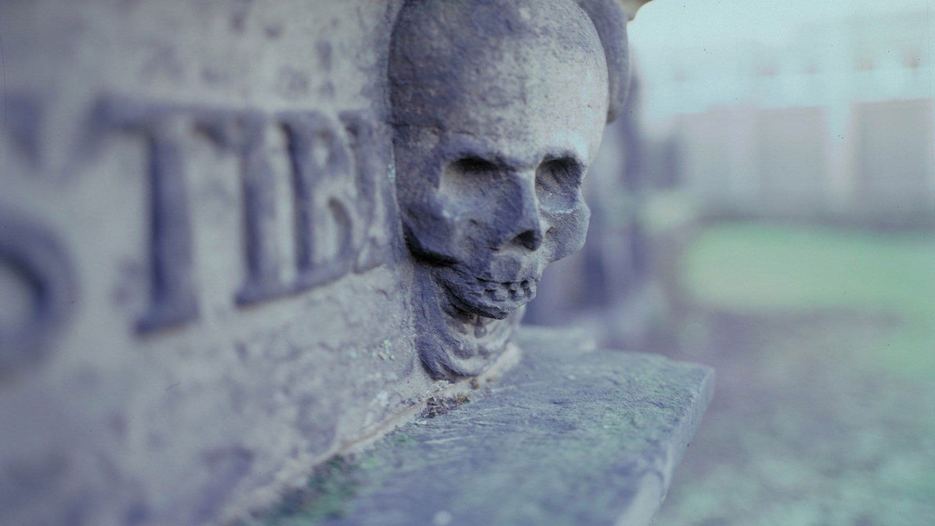 Scariest Places on Earth backdrop