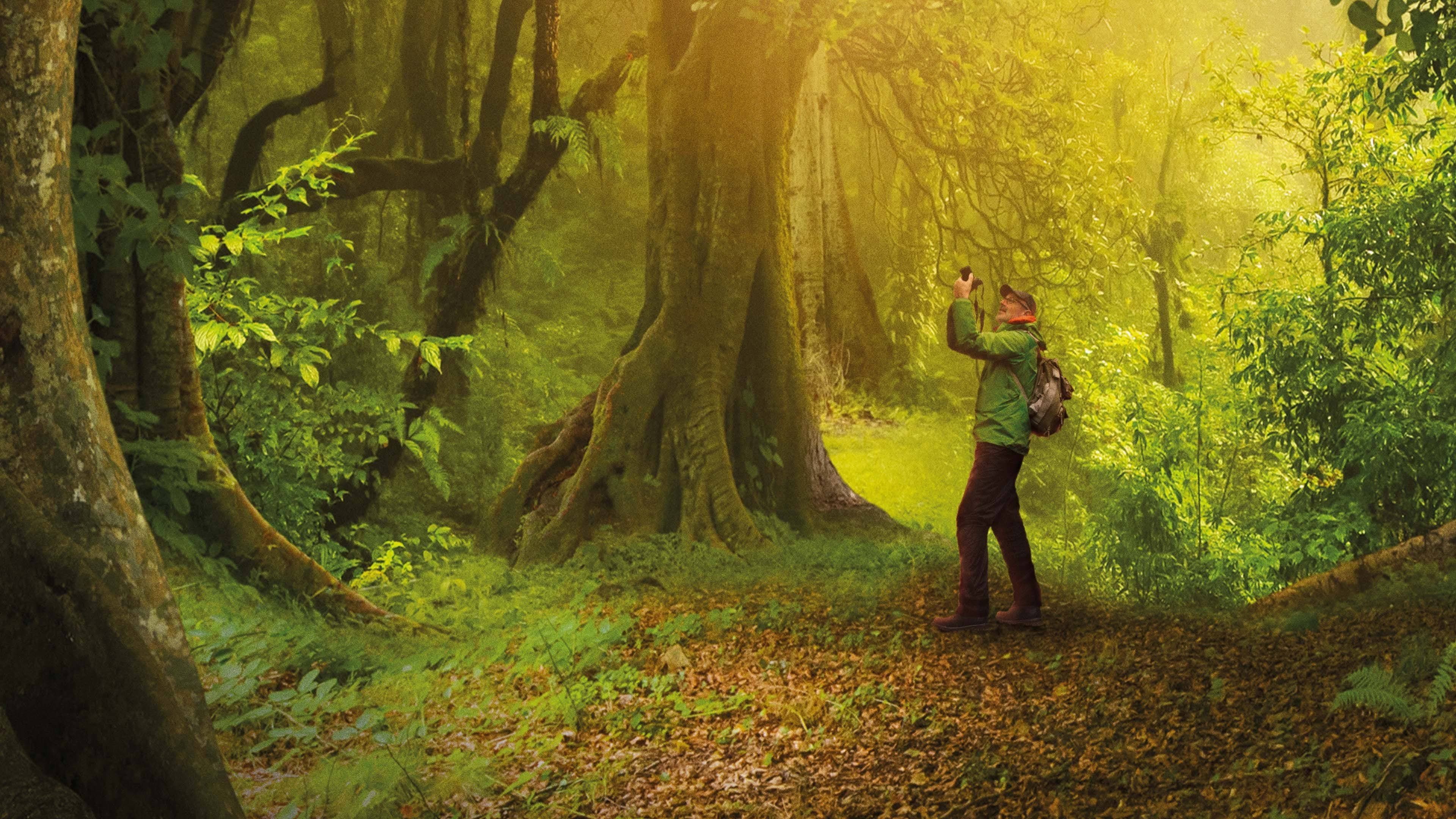 The Hidden Life of Trees backdrop