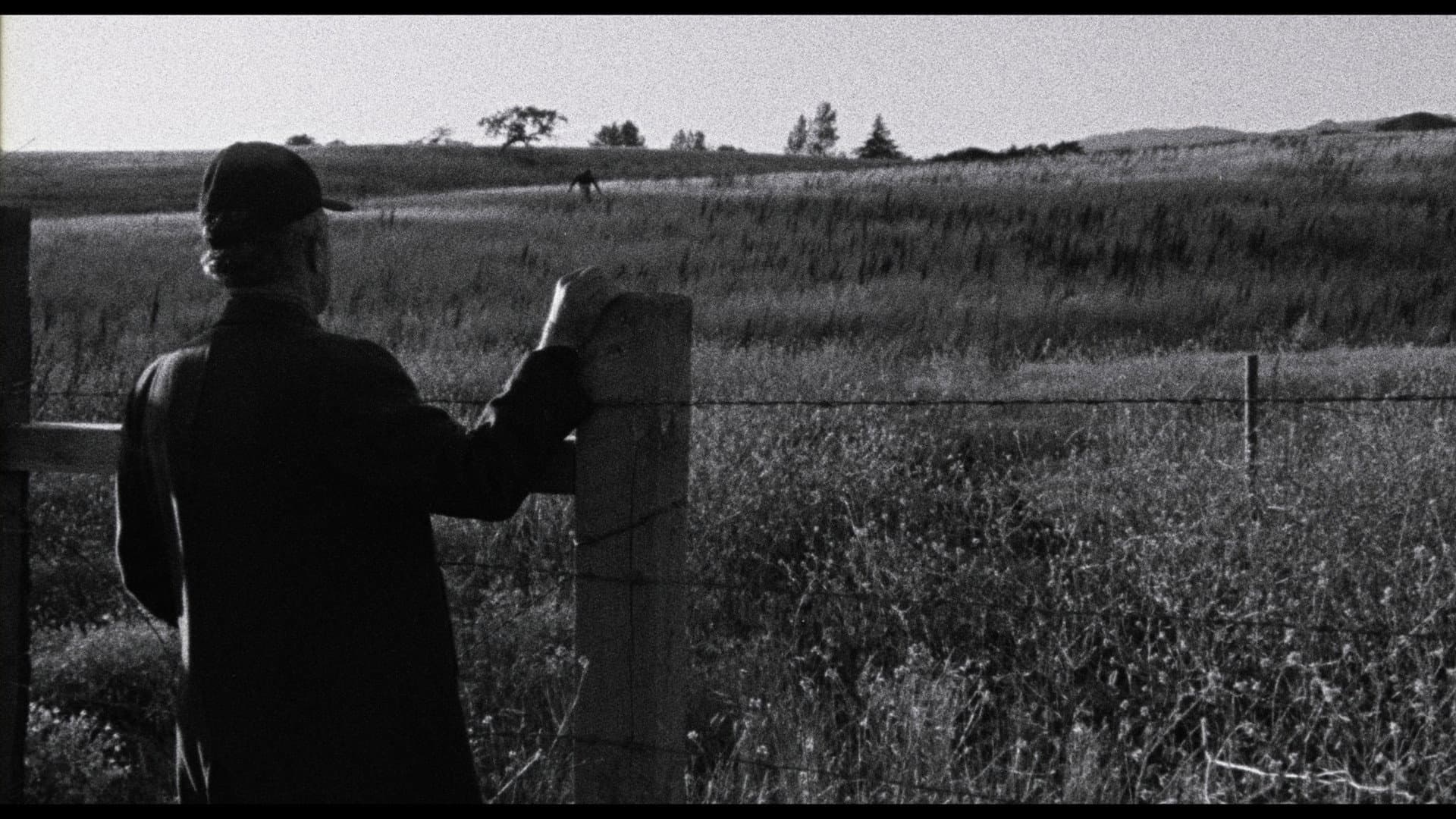 Faith of Our Fathers, a film by Hamilton Sterling backdrop