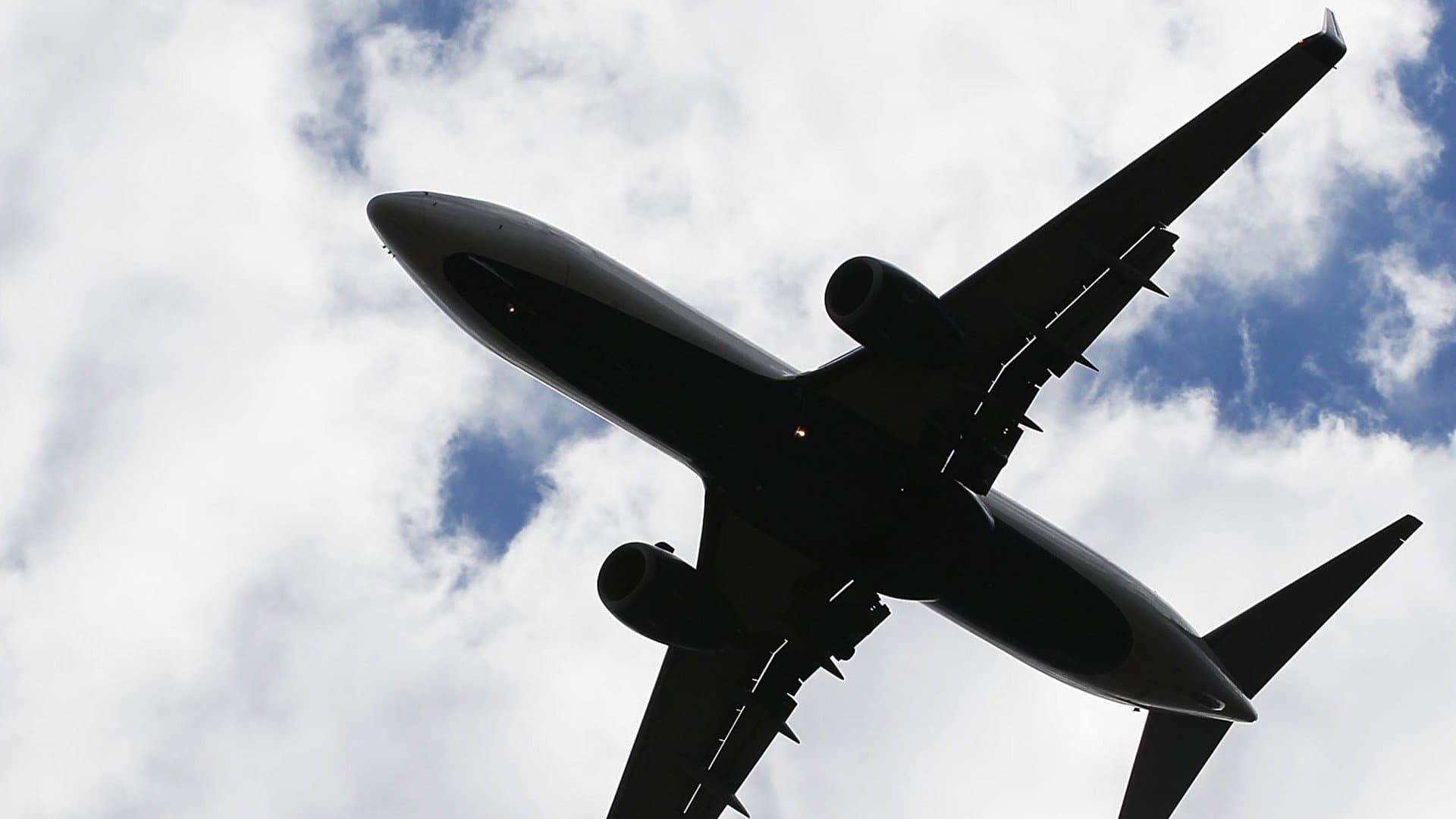 Extreme Flights backdrop