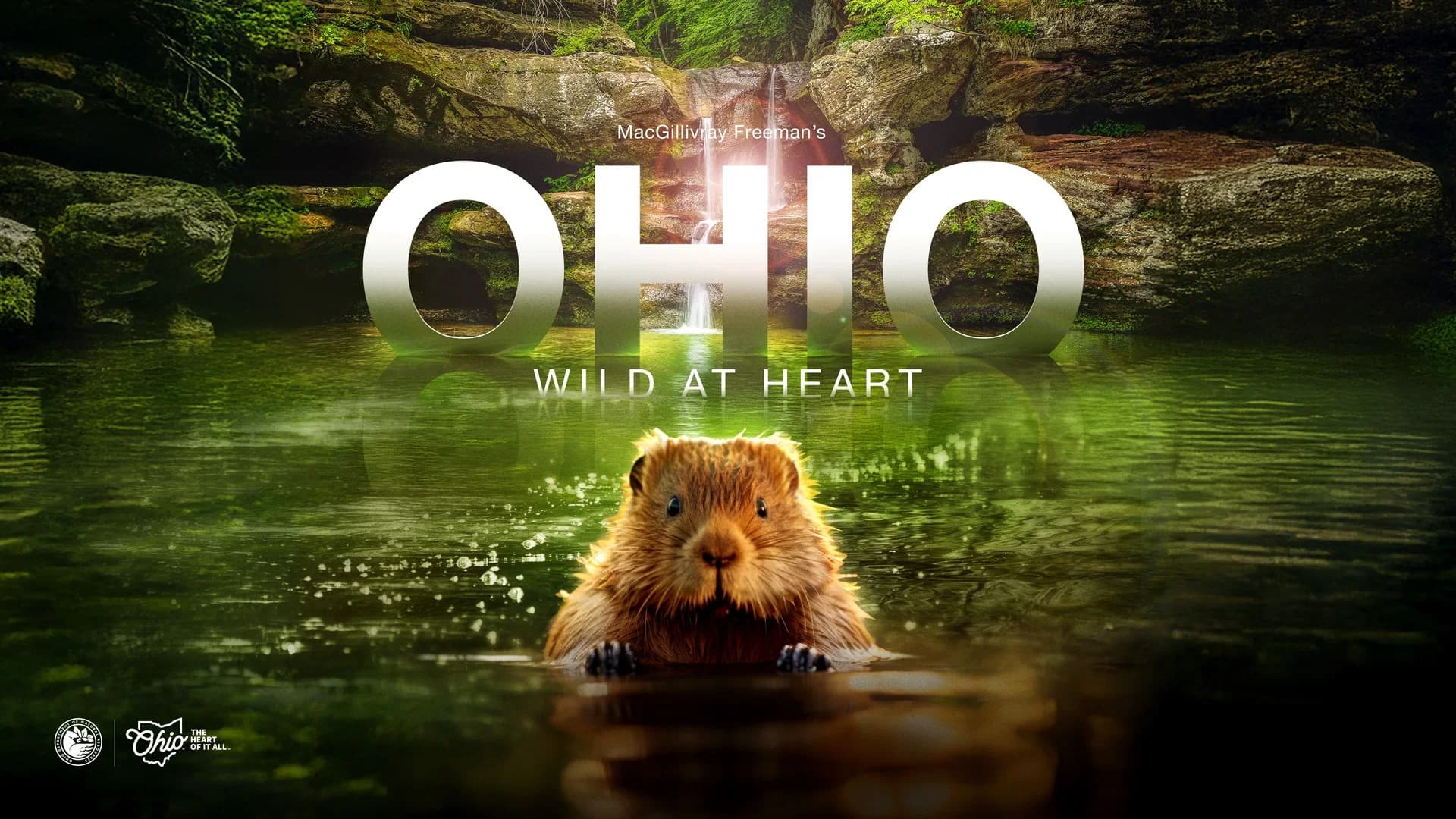 Ohio: Wild at Heart backdrop